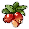 Berry