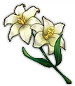 Wildflower