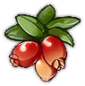 Berry