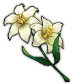 Wildflower